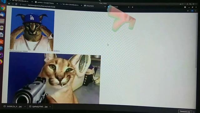 РОЗЫСК/ШЛЁПА И FLOPA/