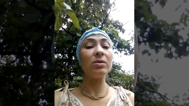 Дачный сезон.Сбор урожая.Что нужно делать,прежде чем срезать кабачок с ветки. смотреть онлайн