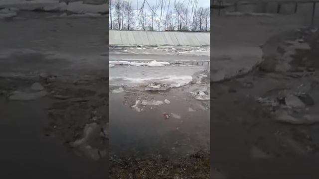 ЛЕДОХОД . ЛЕДЯНОЙ ЗАТОР. УТКИ ХОДЯТ ПО ЛЬДИНАМ смотреть онлайн