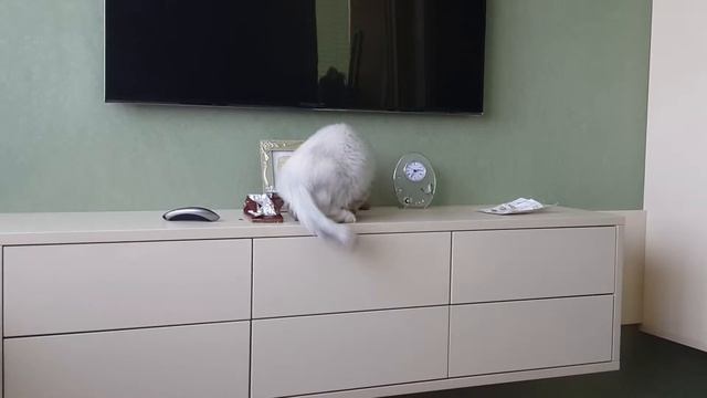 Вздрагивает под тиканье часов смотреть онлайн