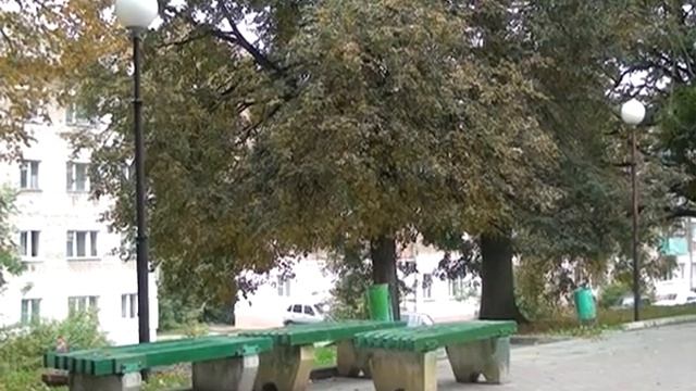 Вяземские службы благоустройства просят ...