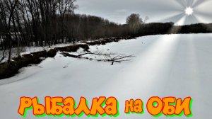 РЫБАЛКА НА ОБИ в марте! Трудовая рыбалка на  протоке Малышева