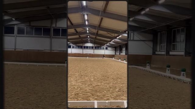 Соревнования по хоббихорсингу выездка 🏆