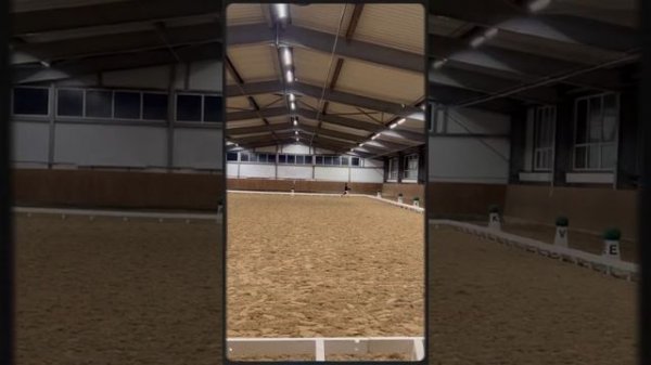 Соревнования по хоббихорсингу выездка 🏆