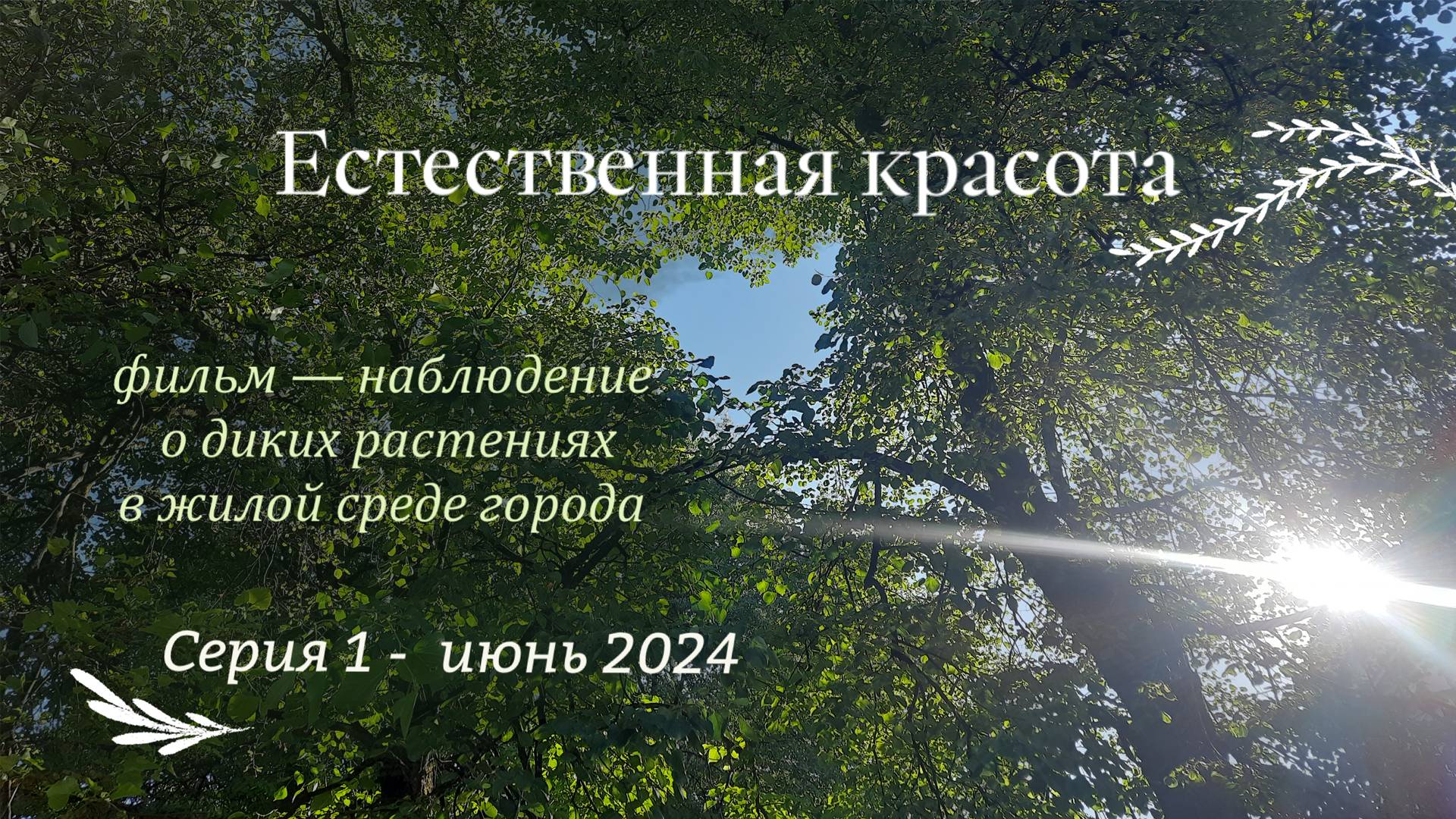 Естественная красота. Серия первая. Июнь. смотреть онлайн