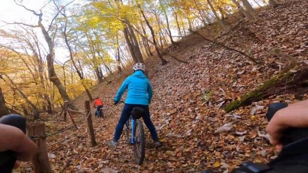 グラベル紅葉トレイル 下りパート/Salsa Fargo, Salsa Warbird, Surly Midnight Special