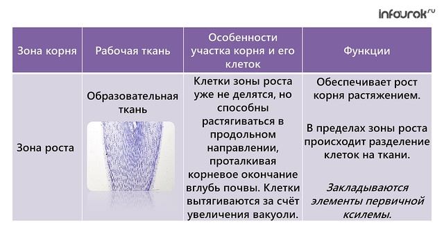 22. Зоня корня смотреть онлайн