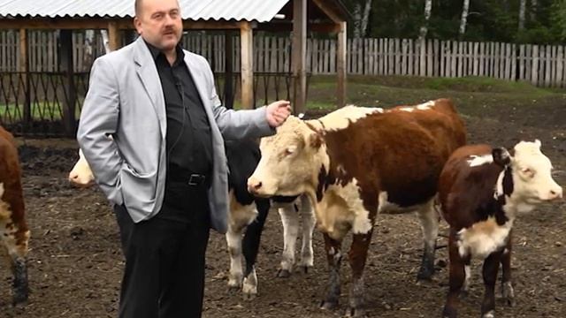 герефорды 2014 08 смотреть онлайн