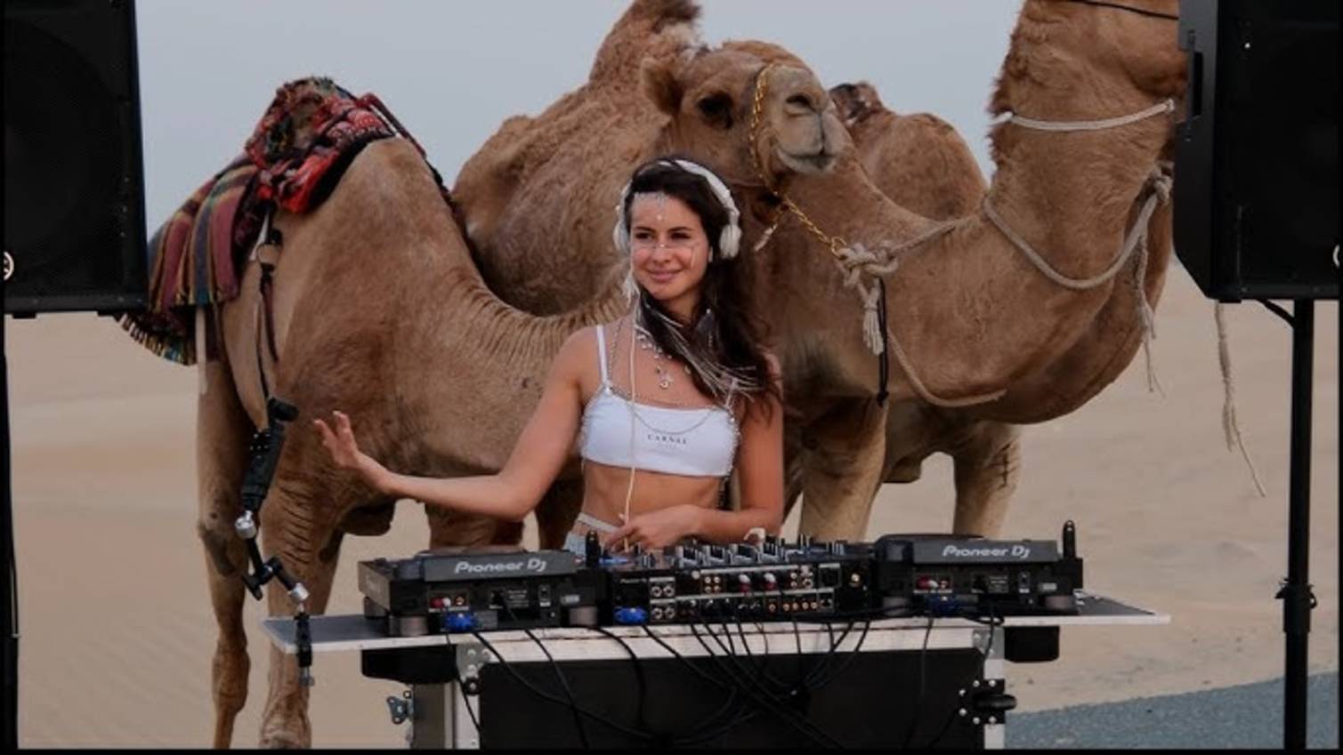 Amelisa | dj set in desert with camels MIX [ORGANIC HOUSE/AFRO HOUSE] смотреть онлайн