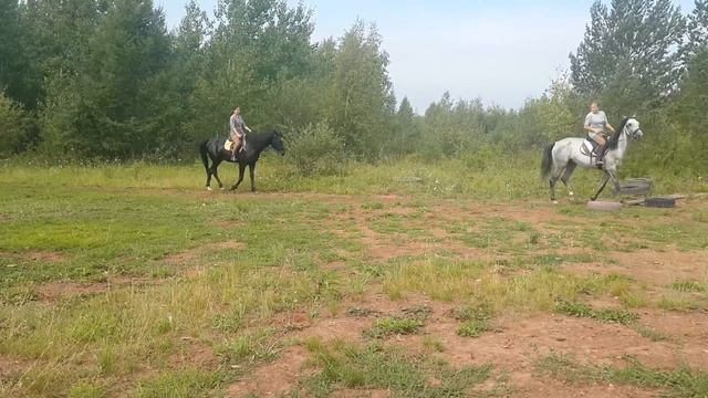 Тренировка подарок муза смотреть онлайн
