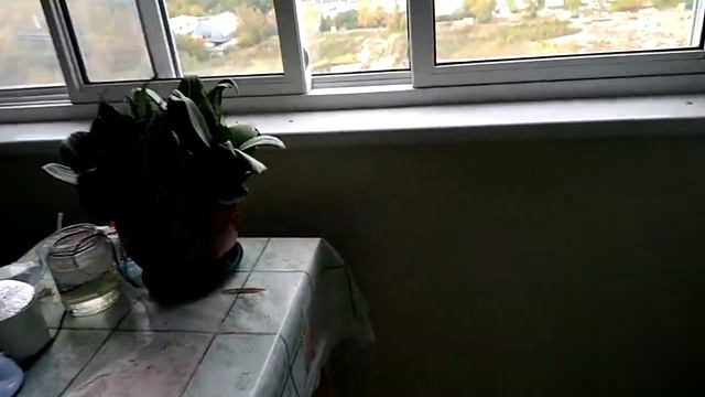 Жареная картошечка.Готовлю воскресный обед.