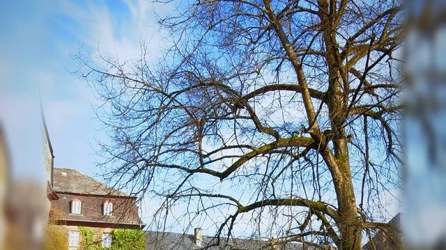 Schloß Laubach Und Grünberg, Deutschland.