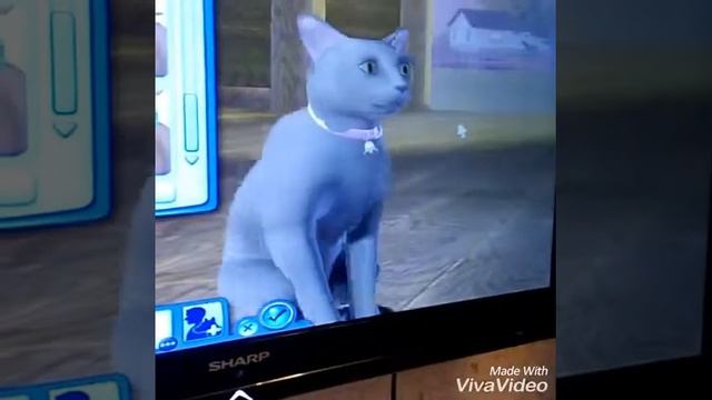 😎Sims 3😎 смотреть онлайн