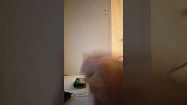 обзор на voporeso xros mini и асамер смотреть онлайн