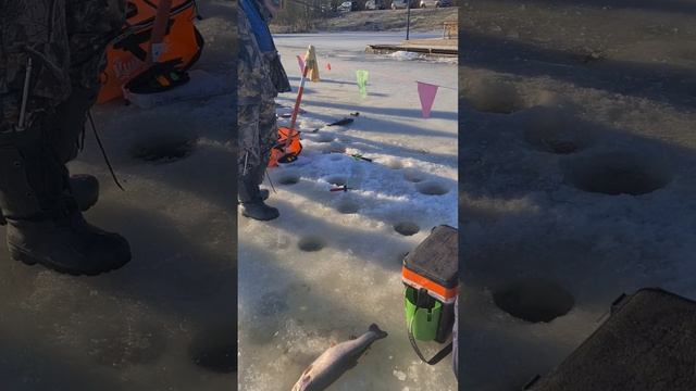 Поимки на запуске смотреть онлайн