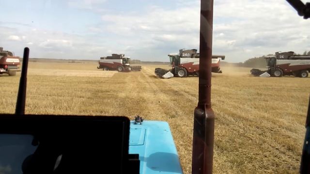Уборка пшеницы с.Бондари ООО Аграномика