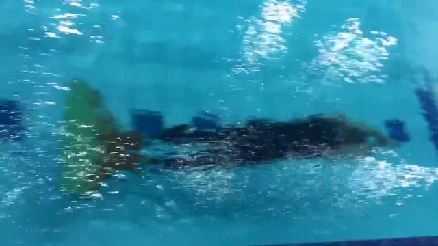 Alexander Pavlov DYN 204,5 m. CMAS Apnea Cup of Russia 1-5.02.2017 смотреть онлайн
