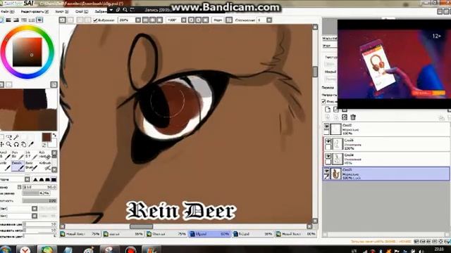 Покраска Фри; Заказ; Сойчи и Буг; Сойчи; Совмест