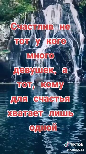 Download (4)*** смотреть онлайн