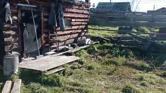 Уус Таатта куьун 2022(1) смотреть онлайн
