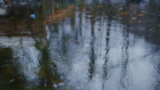 Звуки дождя, мелодия расслабление, медитация. Sounds of rain, melody relaxation, meditation. смотреть онлайн