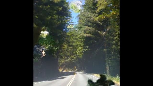 Highway 1 (with detours) смотреть онлайн