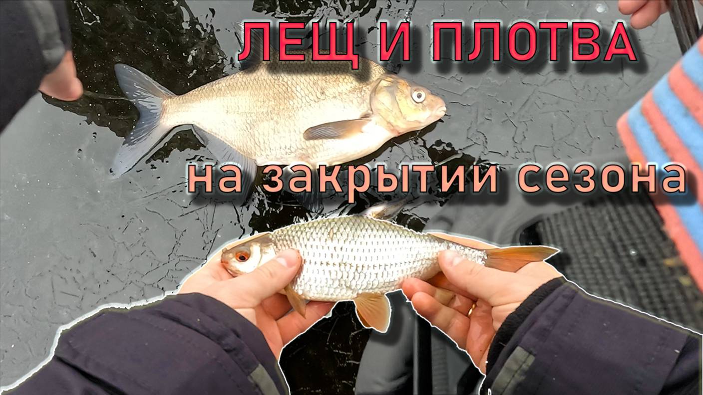 ЛЕЩ И ПЛОТВА С БАТОН, закрытие зимнего сезона 2025 на Соложе смотреть онлайн