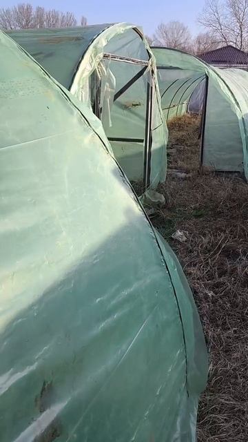 5 марта 2025, первые работы на даче смотреть онлайн