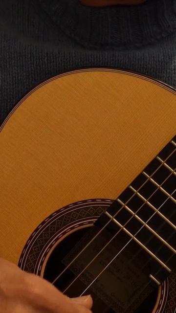 Francisco Tárrega: Estudio en mi menor / Study in E minor / Etüde in e-Moll / Étude en mi mineur смотреть онлайн