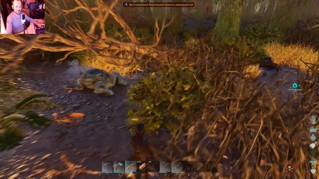 СОЛЛО ВЫЖИВАНИЕ В ЧИТЕРСКМ АРКЕ смотреть онлайн