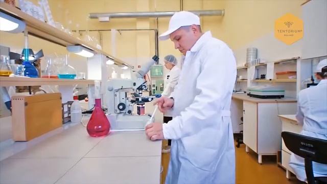 Завод TENTORIUM RULAND