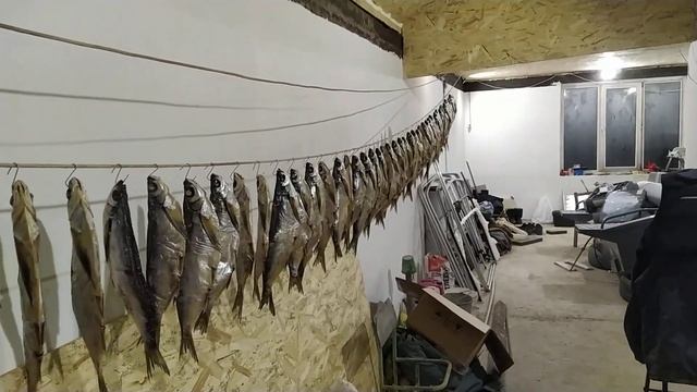 Вяленая чехонь.