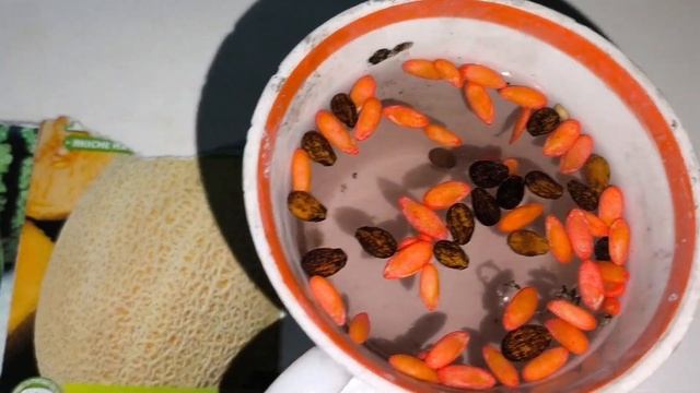 Яичница на сале с луком! Очень вкусно!