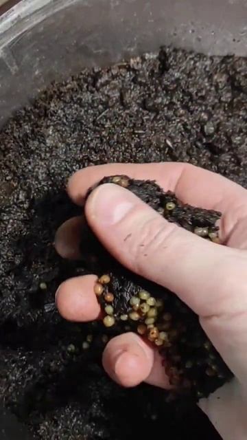 😍 смотреть онлайн