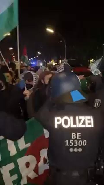 Демократическая немецкая полиция разгоняет женский запалестинский марш 8 марта 2025 толерантненько смотреть онлайн
