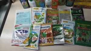 Фунгицид для орхидеи от грибков и гнили. #орхидеи #фунгициды  #болезни #лечиморхидеи #цветы