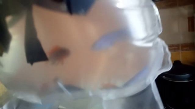 В Питер доехали.