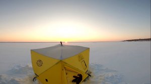 Налим на зимнюю удочку 10.03.2024