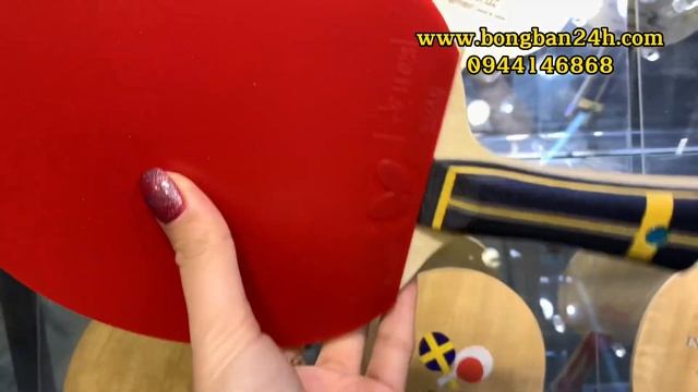 Cốt Vợt Zhang Jike Super ZLC + Dignics 09C + Dignics 05 Hàng Nội địa Nhật 💯💯