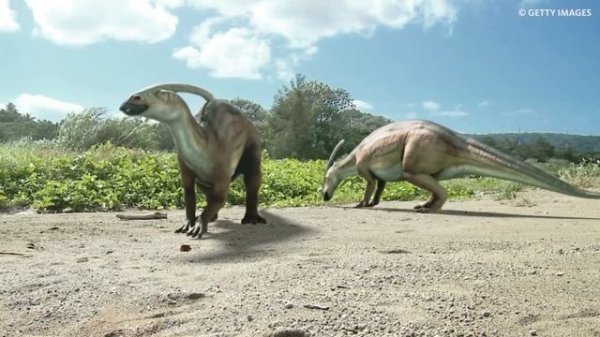 Di_Diman - Паразауролоф my love (2025)