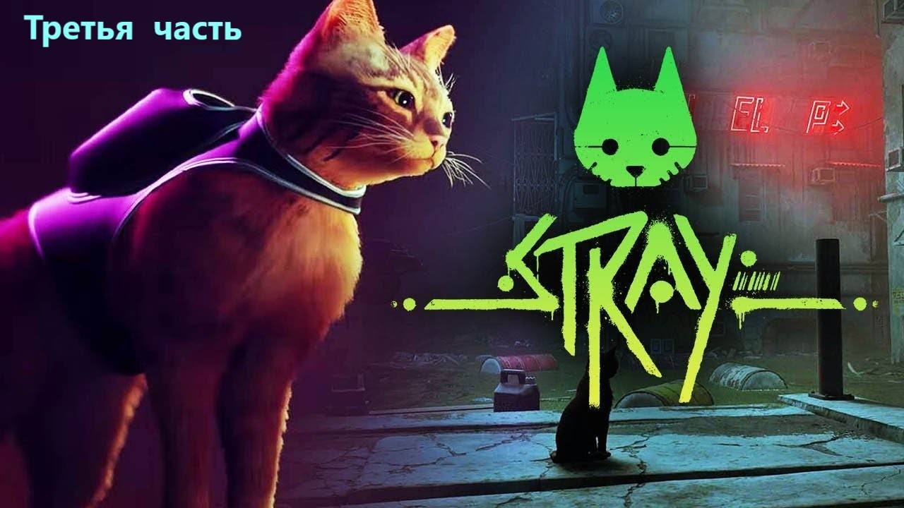 Stray. Часть 3. смотреть онлайн