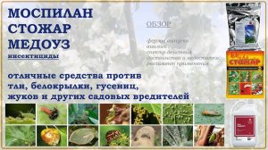 Моспилан, Стожар и Медоуз - отличные средства против разнообразных садовых вредителей. Обзор 2025г.