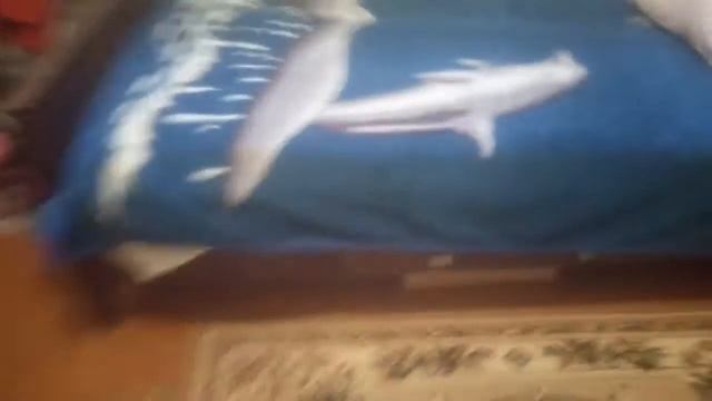 УБОРКА В КОМНАТЕ/ЧТО БРАТ РЕШИЛ СДЕЛАТЬ😱😱😱 смотреть онлайн