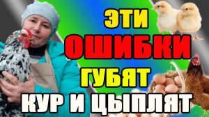 ОШИБКИ, которые ГУБЯТ ваших кур и цыплят.