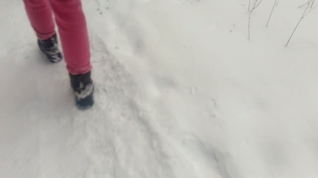 поход на пойволо