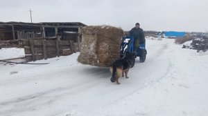 Самодельный мини погрузчик