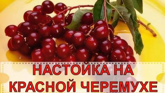 НАСТОЙКА НА КРАСНОЙ ЧЕРЕМУХЕ смотреть онлайн