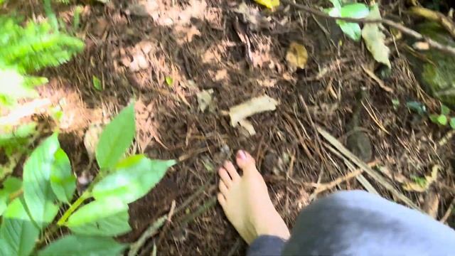 Barefoot Tracks of Whangarei: Puriri Park to Te Hihi Stream смотреть онлайн