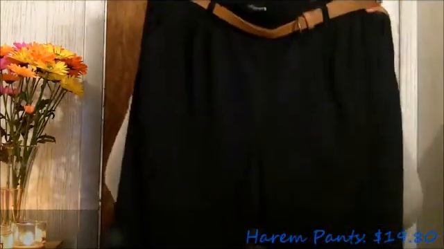 Haulin on a Budget: F21 & Wet Seal смотреть онлайн