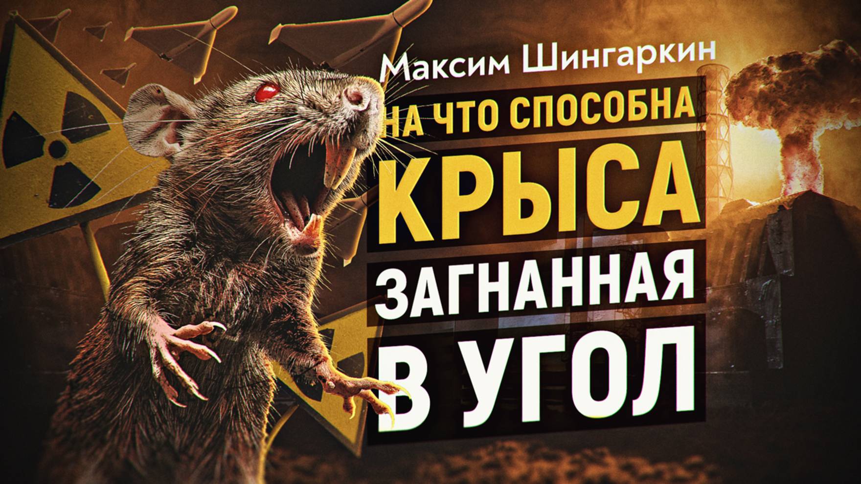 Сценарии распада госсистемы Украины. Угрозы для РФ. Максим Шингаркин смотреть онлайн